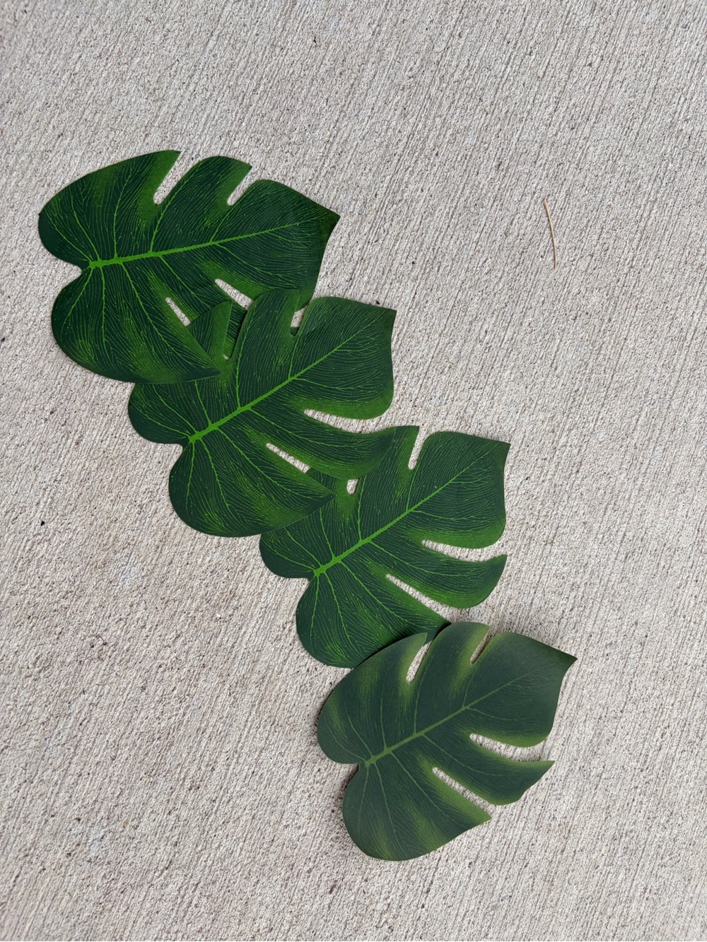 15 Small Tropical Monstera Leaf table mats